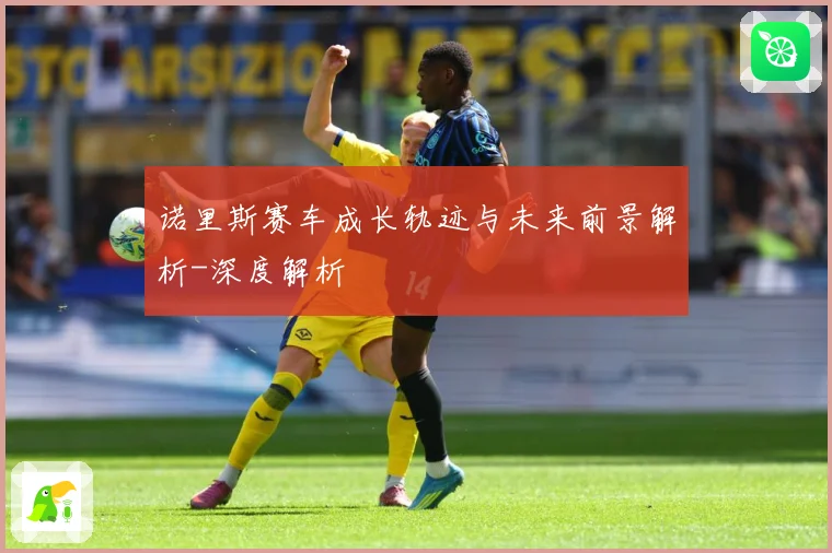 诺里斯赛车成长轨迹与未来前景解析-深度解析