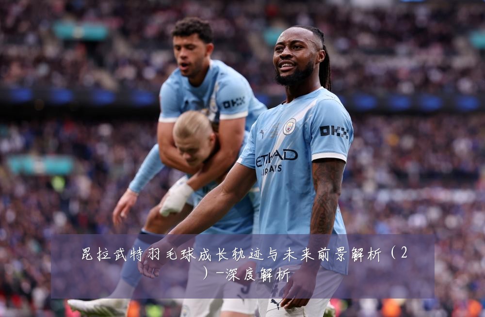 昆拉武特羽毛球成长轨迹与未来前景解析(2)-深度解析