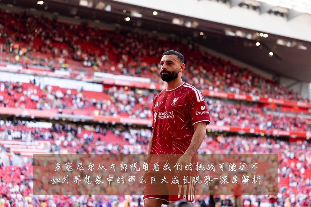 罗塞尼尔从内部视角看我们的挑战可能远不如外界想象中的那么巨大成长观察-深度解析